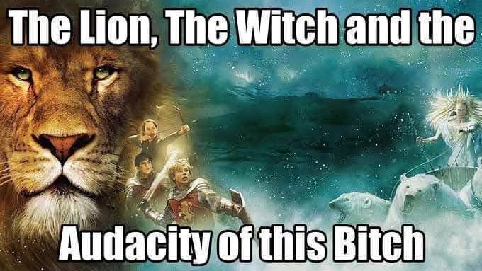 The meme is a humorous take on the classic fantasy series "The Lion, the Witch and the Wardrobe" by C.S. Lewis. The image features a lion's face with a sassy expression, accompanied by the text "The Lion, The Witch and the F**king Audacity of this B**ch". The meme is a playful and irreverent twist on the original title, using a popular internet slang term to add a humorous and edgy tone to the classic story.